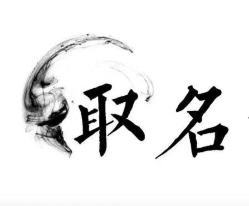  托里宝宝取名 大师一对一人工起名